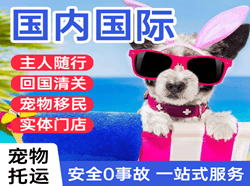 南宁空运代理国际宠物托运 【国